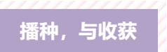 1578468454273165.png